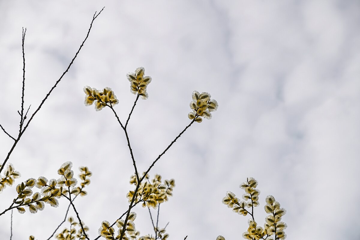 Апрель - Валерий Иванович