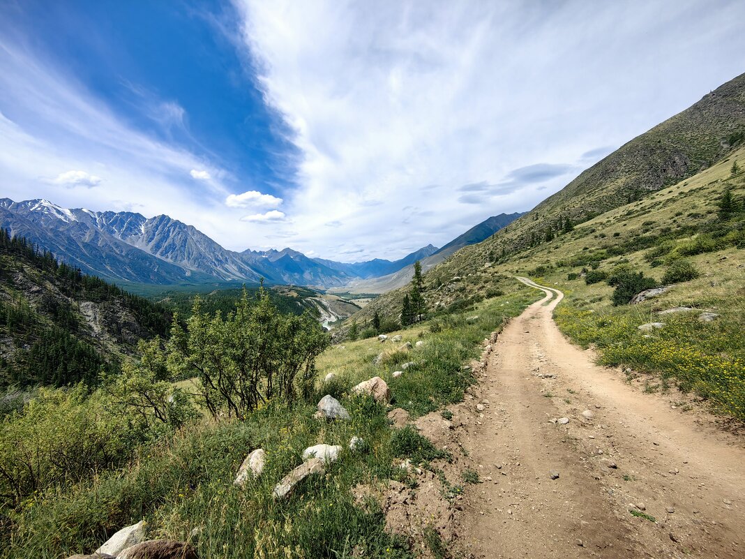 Дороги Алтая - Галина Козлова 