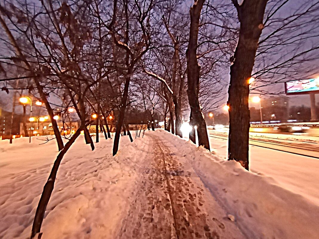 Зима. - Владимир Драгунский