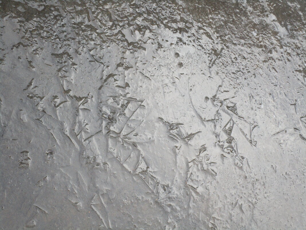 февраль - Елена Шаламова