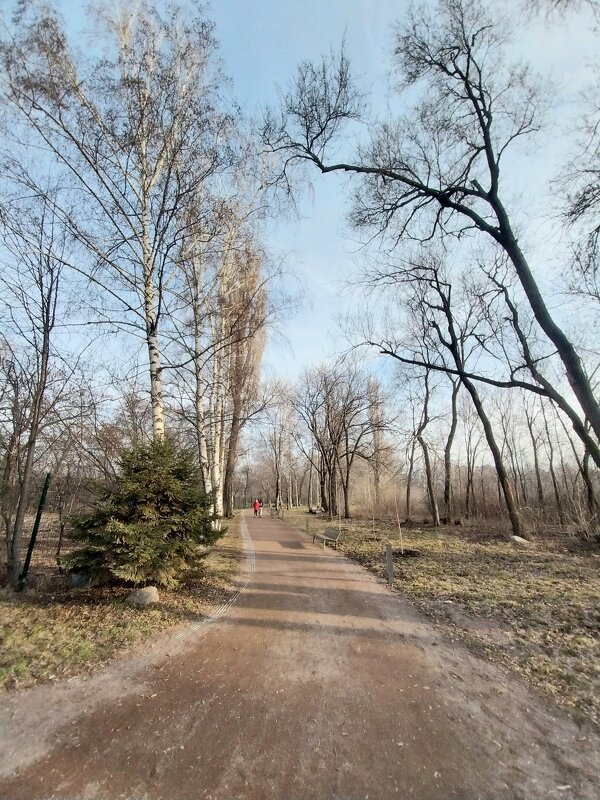 Ботанический сад. - Murat Bukaev 