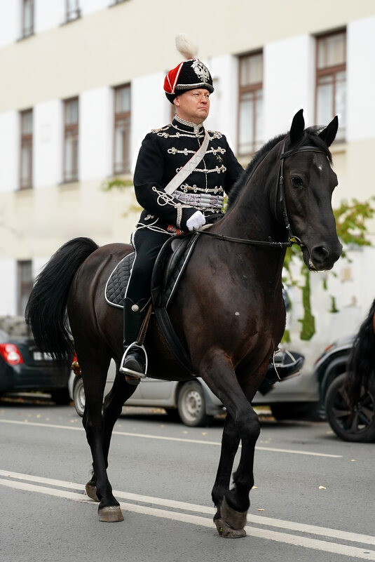 ... - Владимир Салапонов