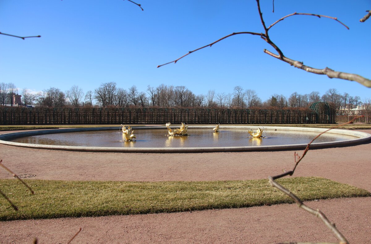 Петергоф. Верхний сад. Апрель - Наталья Герасимова