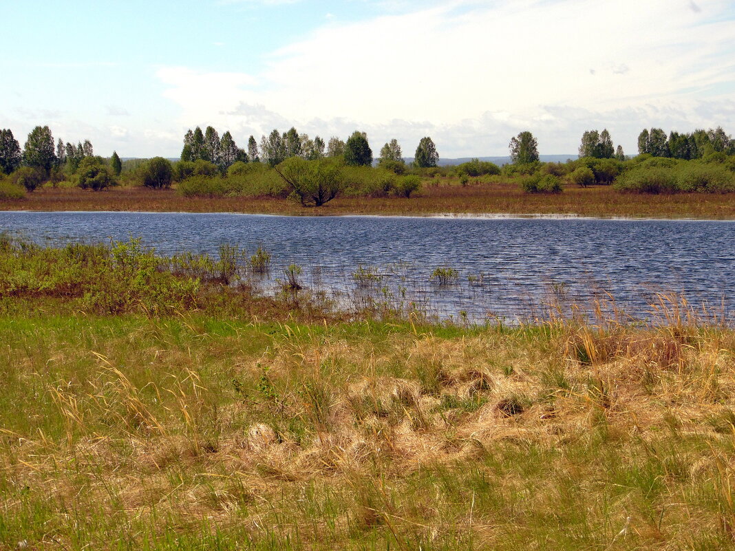 Озерцо. - nadyasilyuk Вознюк