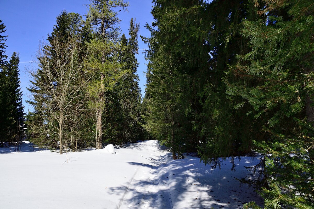 - - Владимир Мигонькин