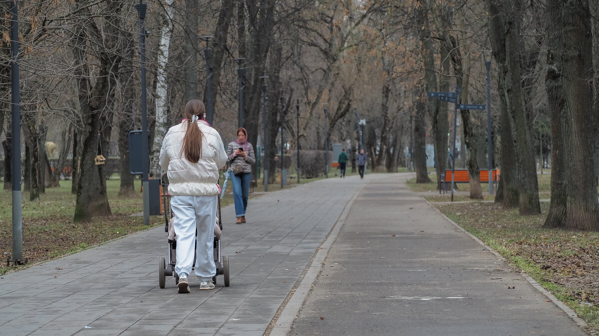 Прогулки в Весеннем Парке - юрий поляков