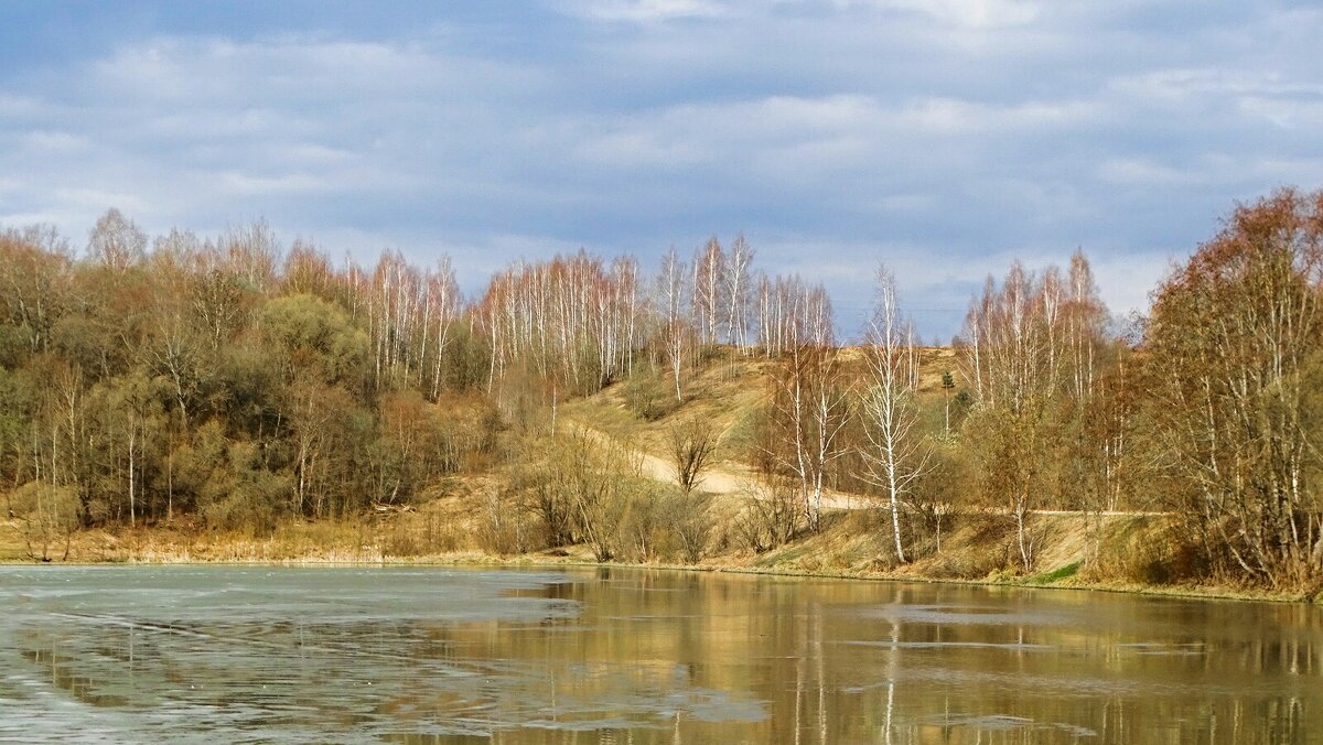 Весна в начале апреля. - Милешкин Владимир Алексеевич 