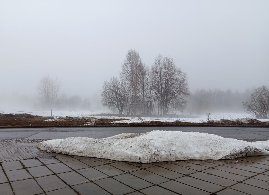 Апрель-он разный...Сегодня туман... - Алена 