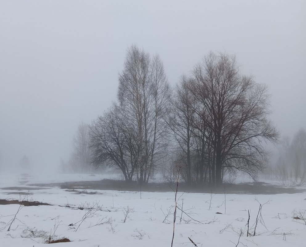 Апрель-он разный...Сегодня туман... - Алена 