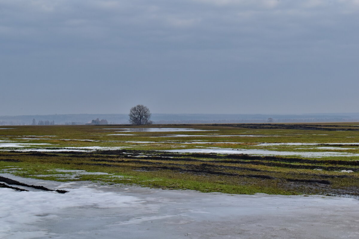 Опять весна - Роман Пацкевич