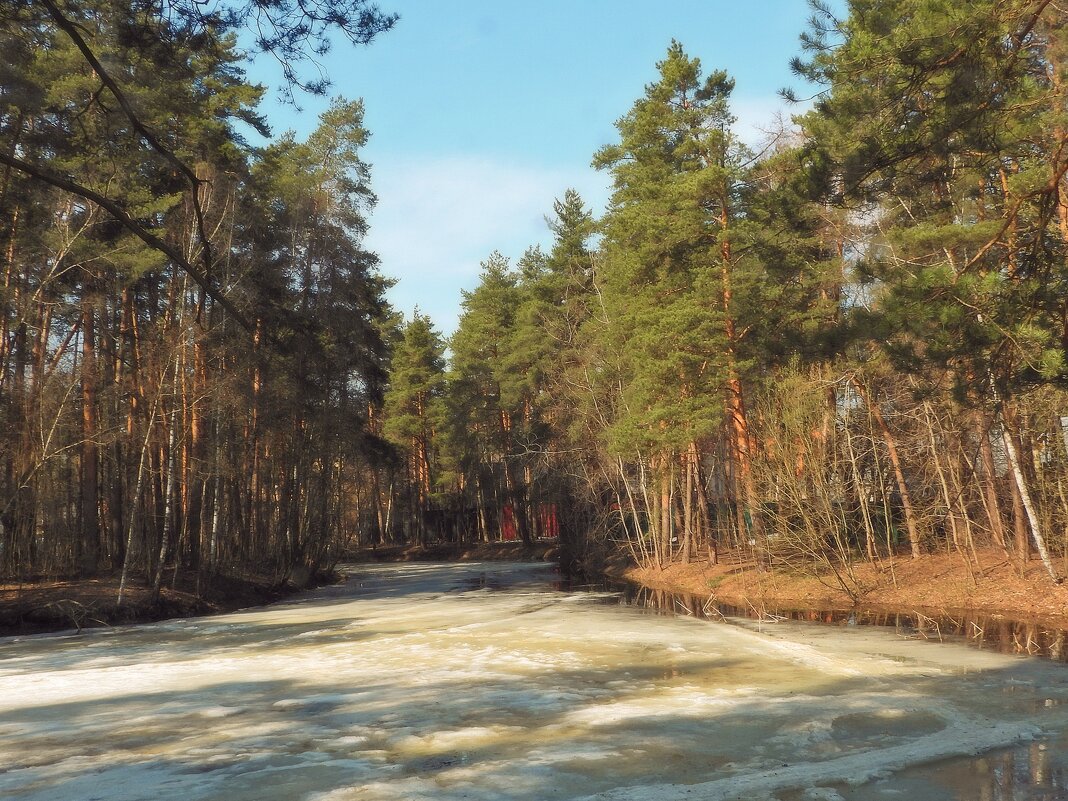 Пруд "Баранка" весной - Леонид leo