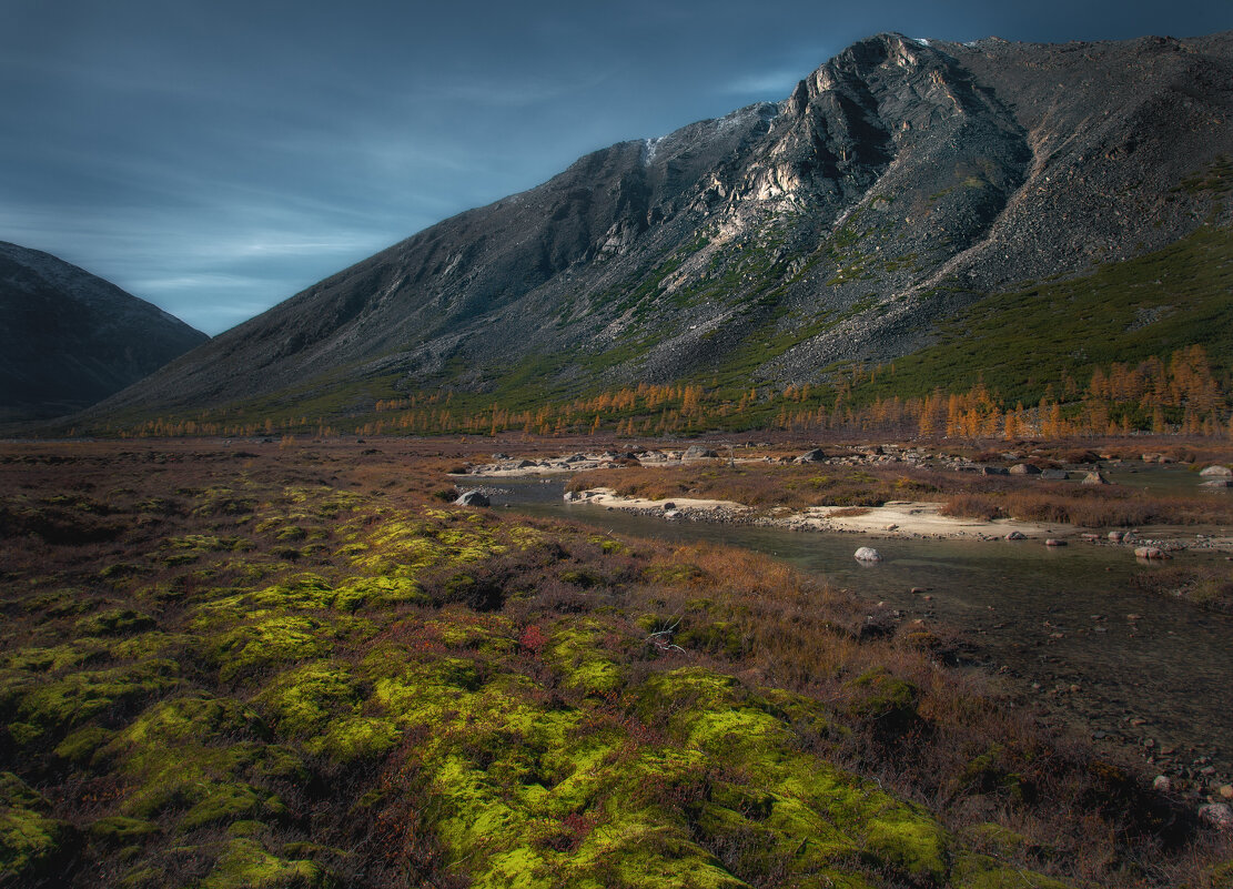 Мшистый берег вдоль речки студёной - Дмитрий Шишкин
