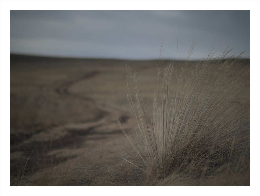 * - Александр Иванов