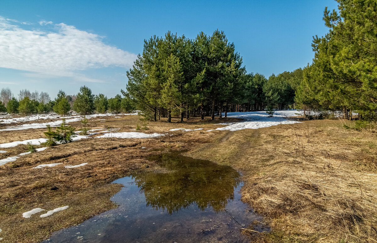 На исходе марта 7 - Андрей Дворников