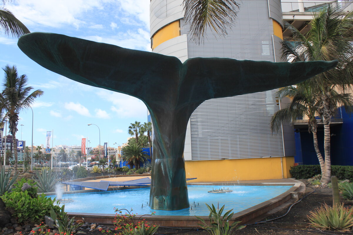 Хвост Кита - Savayr 