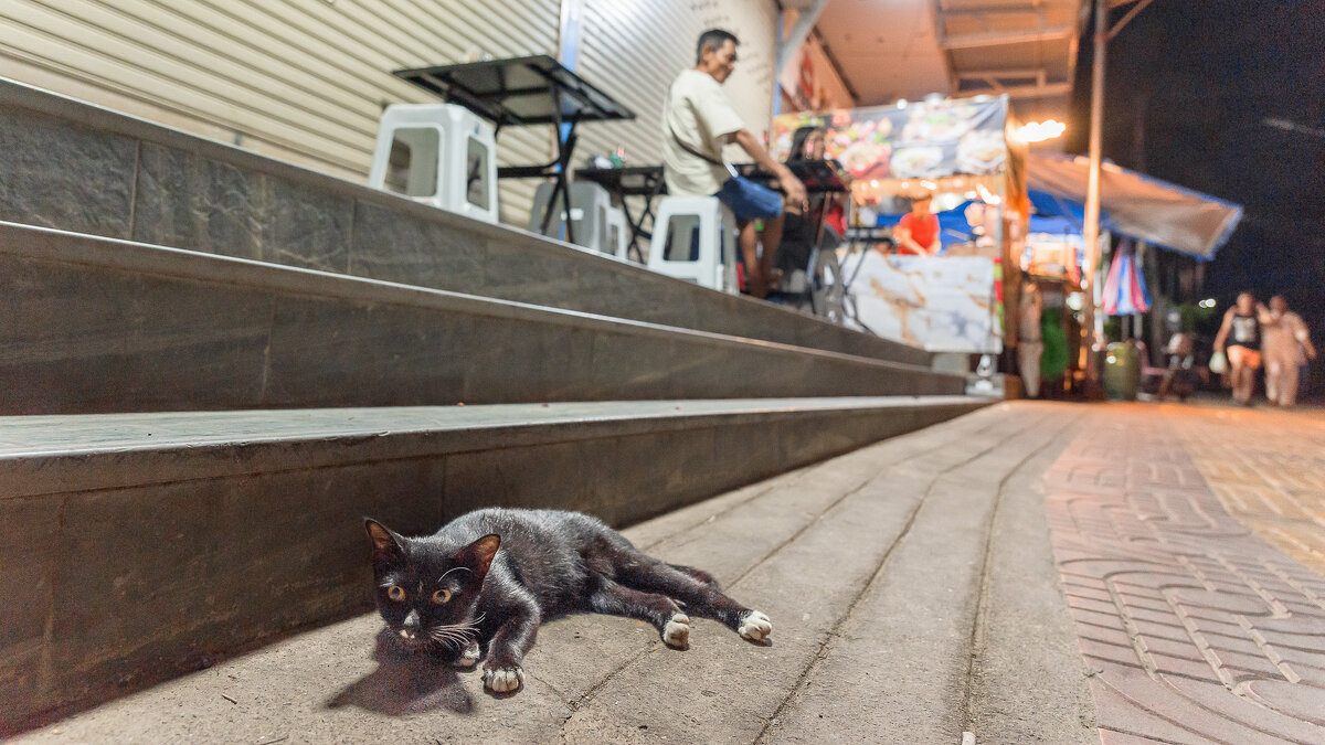 ... - Жора Житников ... - Жора Житников