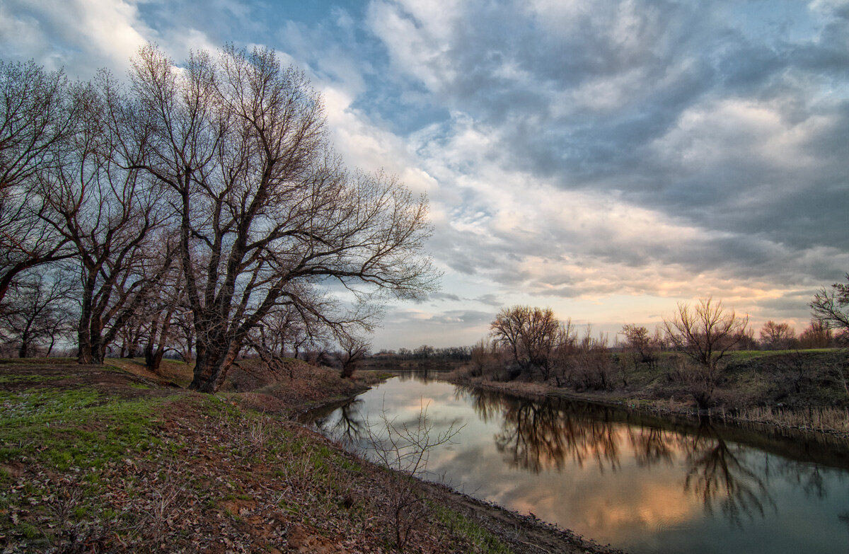 Весна в Волго-Ахтубинской пойме. - Дина Евсеева