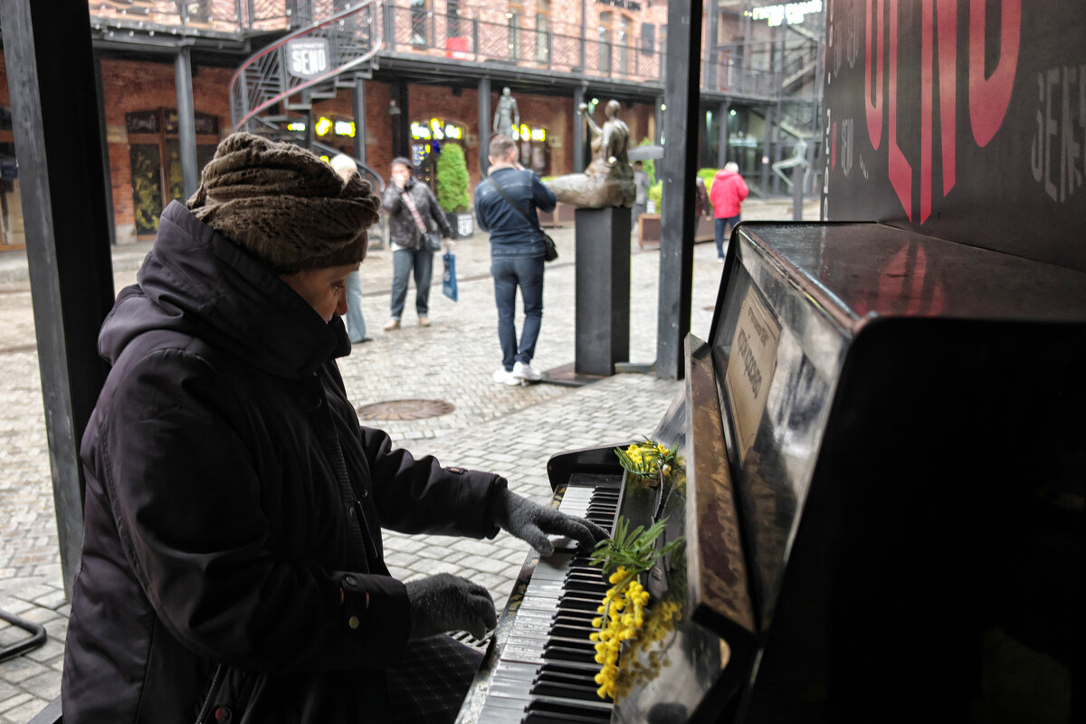 Есть в Питере дворик... - ВЛАДИМИР 