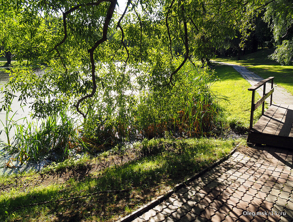 погрузиться в зеленый - Олег Лукьянов