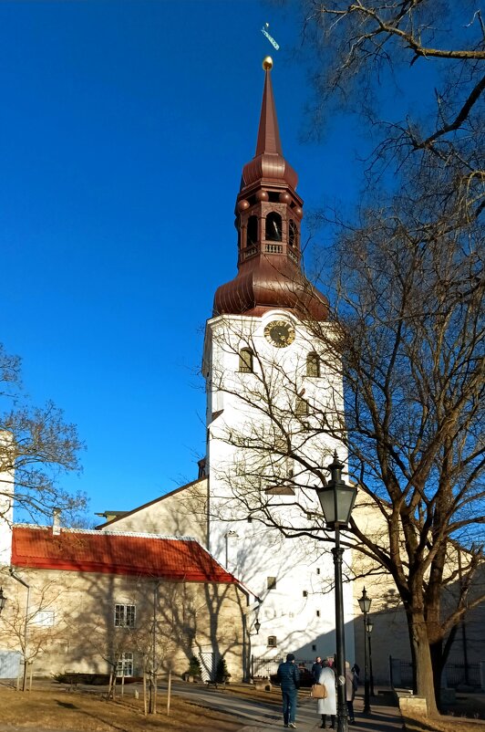 Домский собор Святой Девы Марии - Veera V