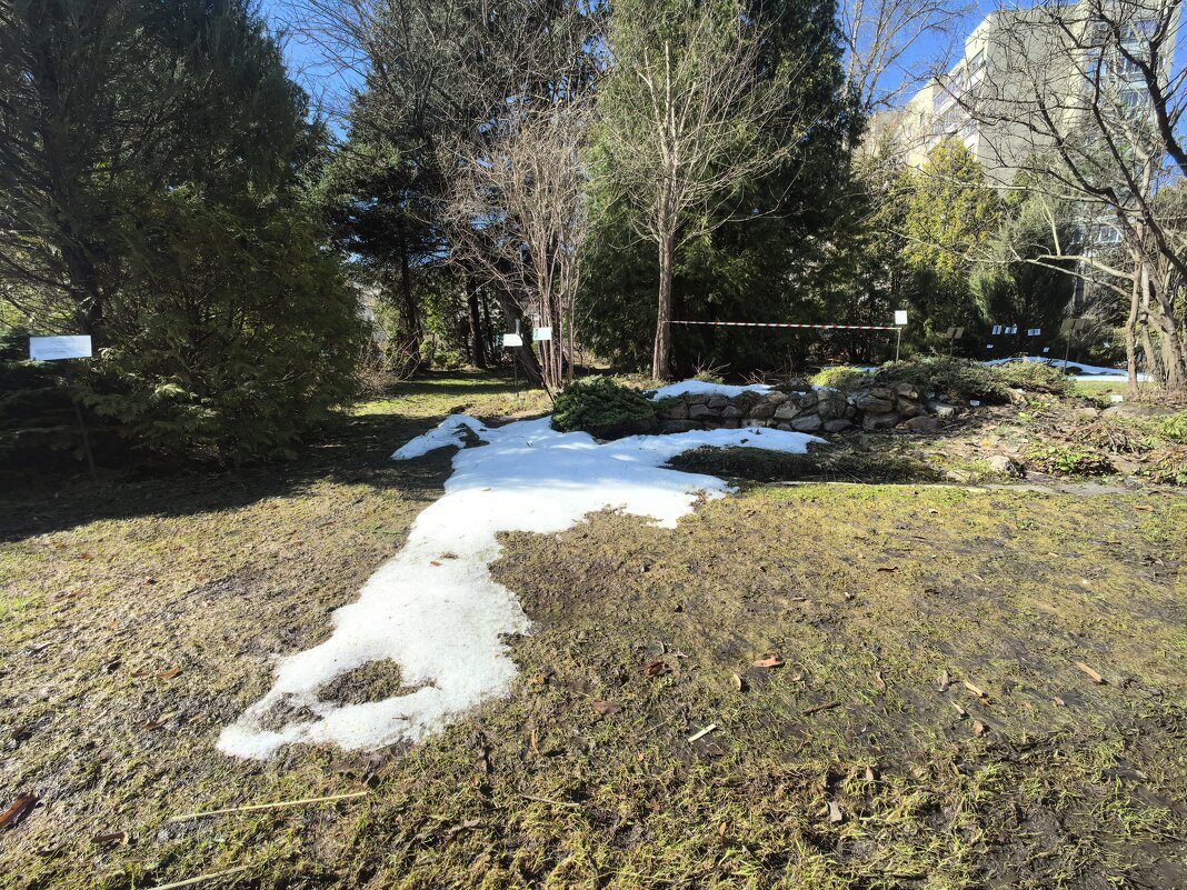 ***лужайка с белым островком*** - Olga Oskolkova