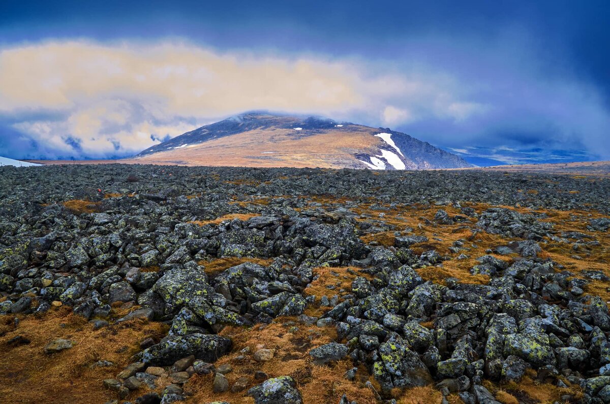 Идёт непогода. - Юрий кот