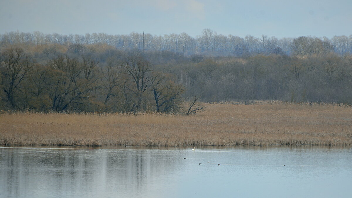 река Псёл - Сеня Белгородский река Псёл - Сеня Белгородский