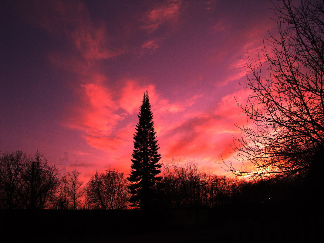 Апрельский вечер - Людмила Смородинская Апрельский вечер - Людмила Смородинская