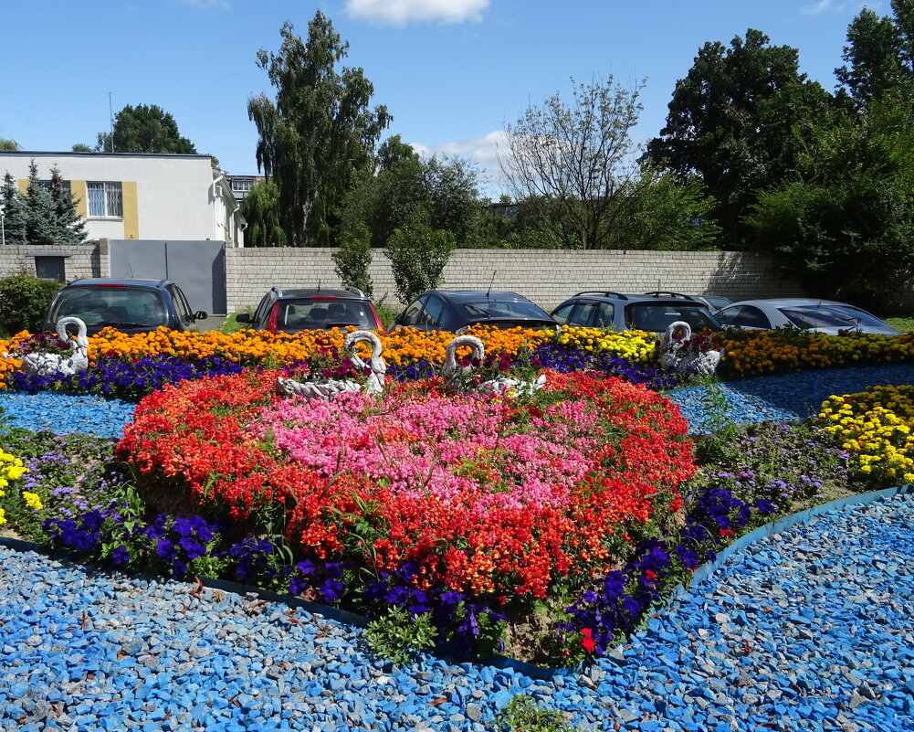 Цветы - PRP Цветы - PRP