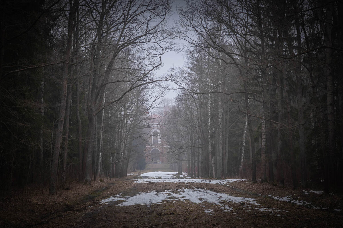 **** - Елизавета .