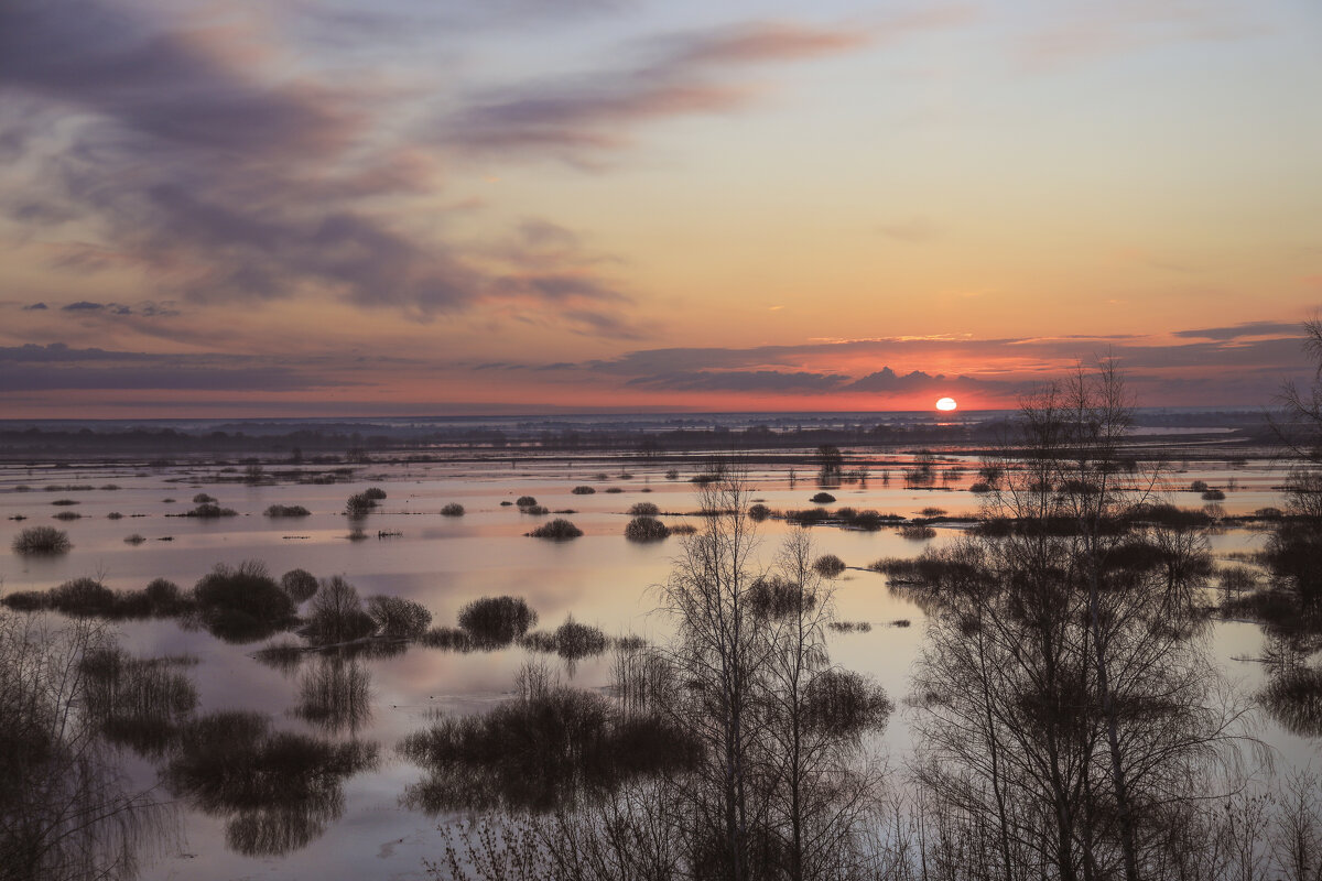 ....... - Вадим Виловатый