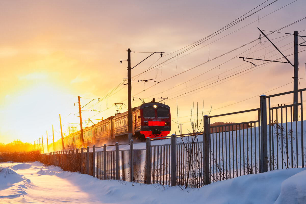 из света - Олег Подлесных