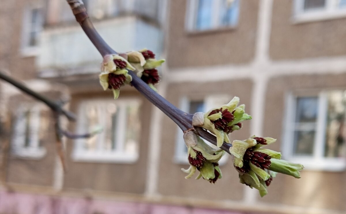 Весеннее - Елена Семигина