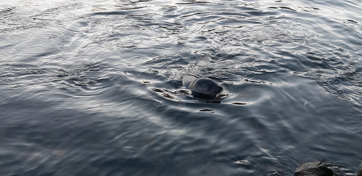 Беломорские жители - Ольга 