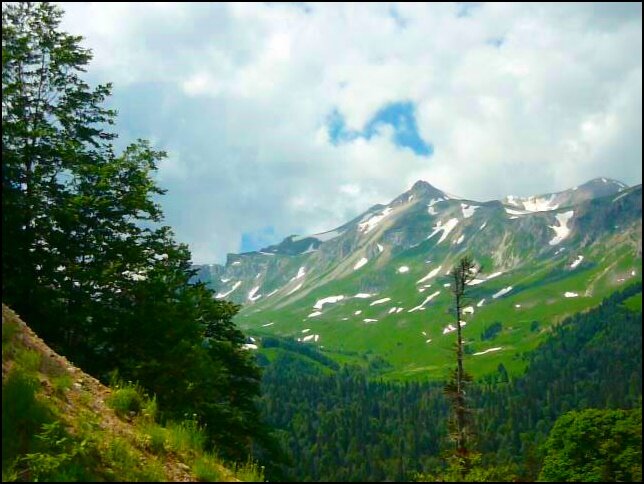 А вот и лето! - Надежда 