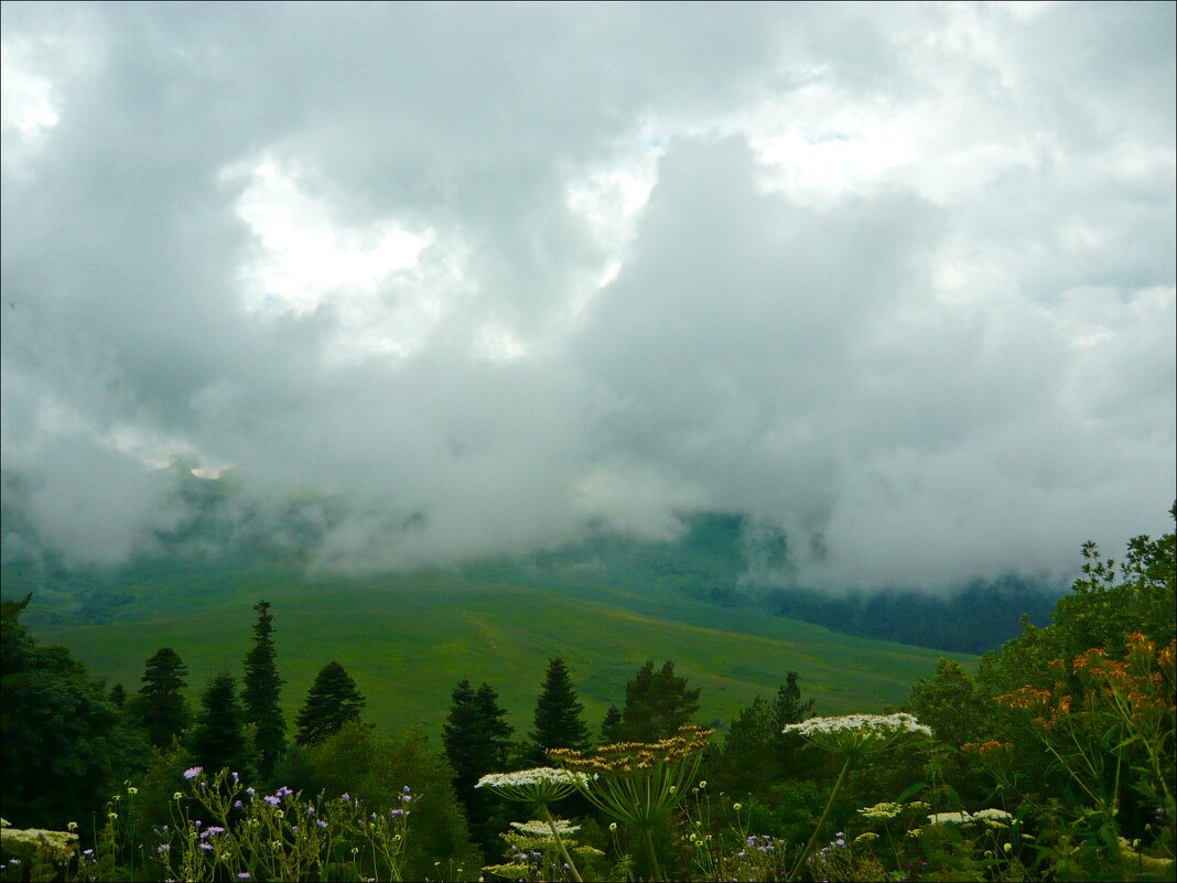 Непогода! - Надежда 