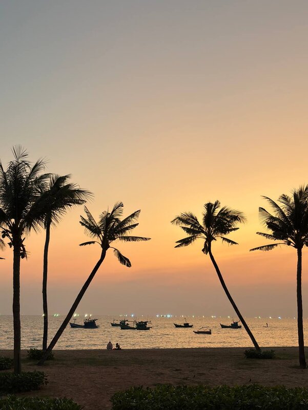 Закат - Александр 