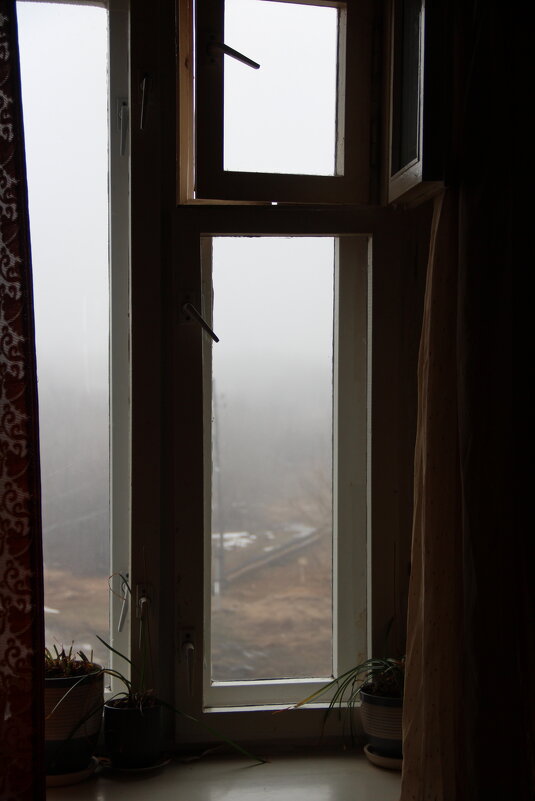 утро туманное... - Елена Минина