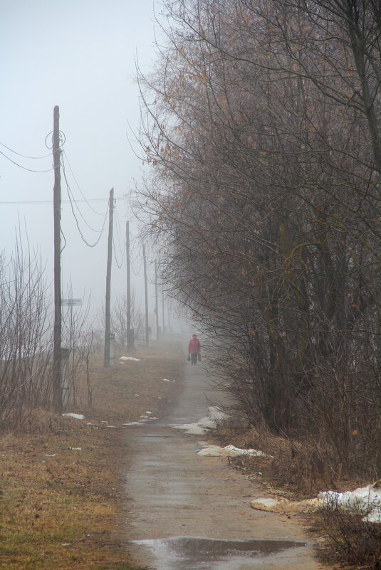 Утро туманное - Елена Минина