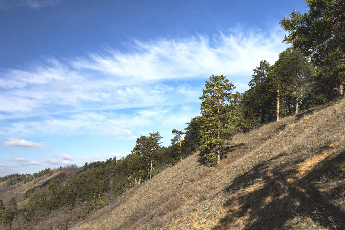 ... - Валерий 