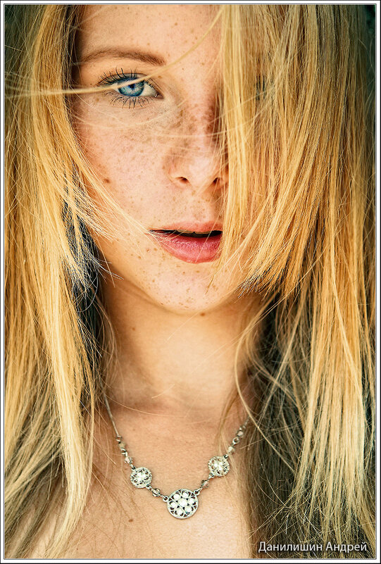 Елена - Андрей Данилишин