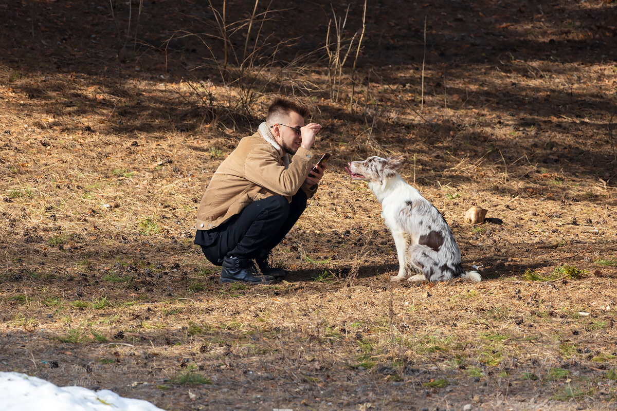 Хозяин и собака - Александр Синдерёв