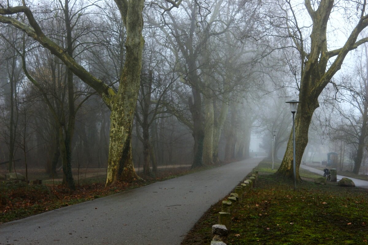 Февраль,аллея - Юрий. Шмаков Февраль,аллея - Юрий. Шмаков