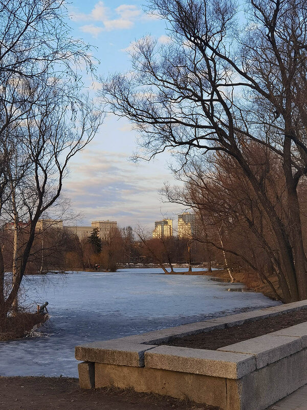 Весенние зарисовки в парке Победы. - Лилия *