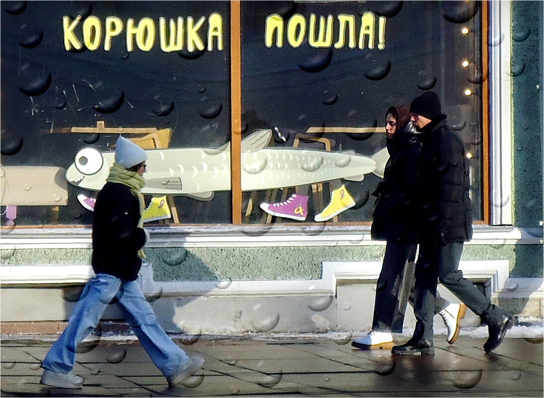 корюшка в пути - sv.kaschuk 