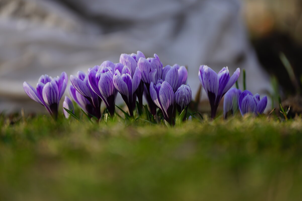 После долгой зимы - Иван Литвинов После долгой зимы - Иван Литвинов