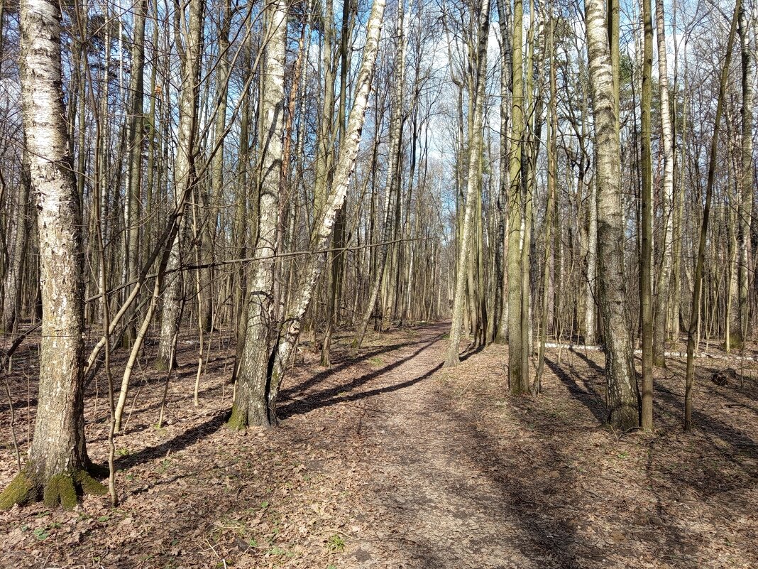 Мои апрельские тезисы - Андрей Лукьянов