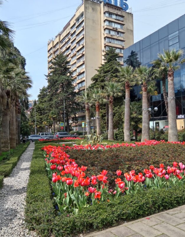 СОЧИ. НАВАГИНСКАЯ ул. - Tata Wolf