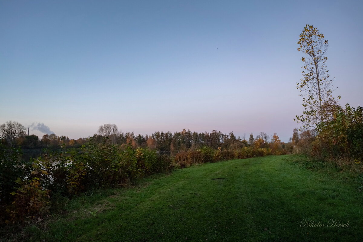 Об одиноко стоящем дереве... - Николай Гирш Об одиноко стоящем дереве... - Николай Гирш