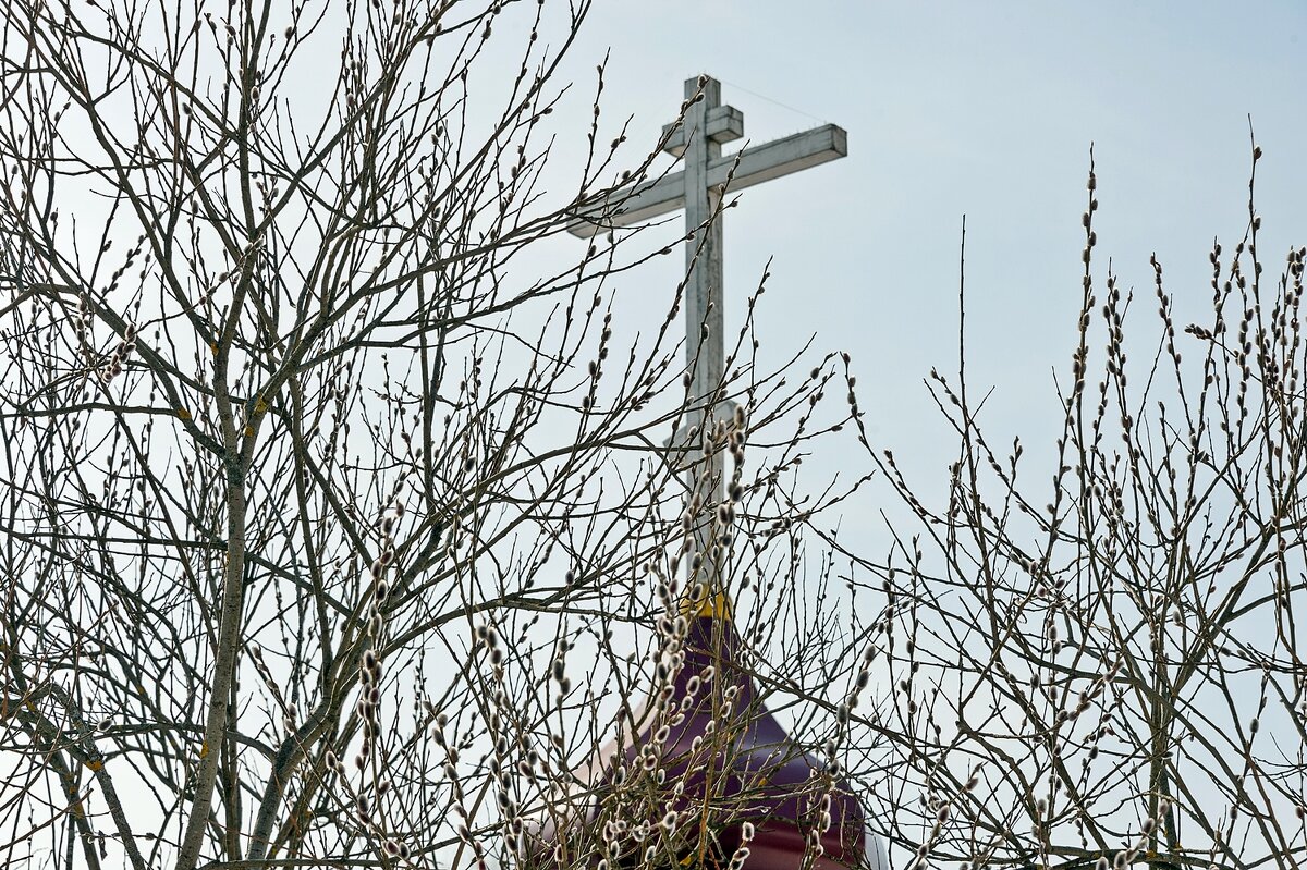 Вербное Воскресенье - Валерий Иванович